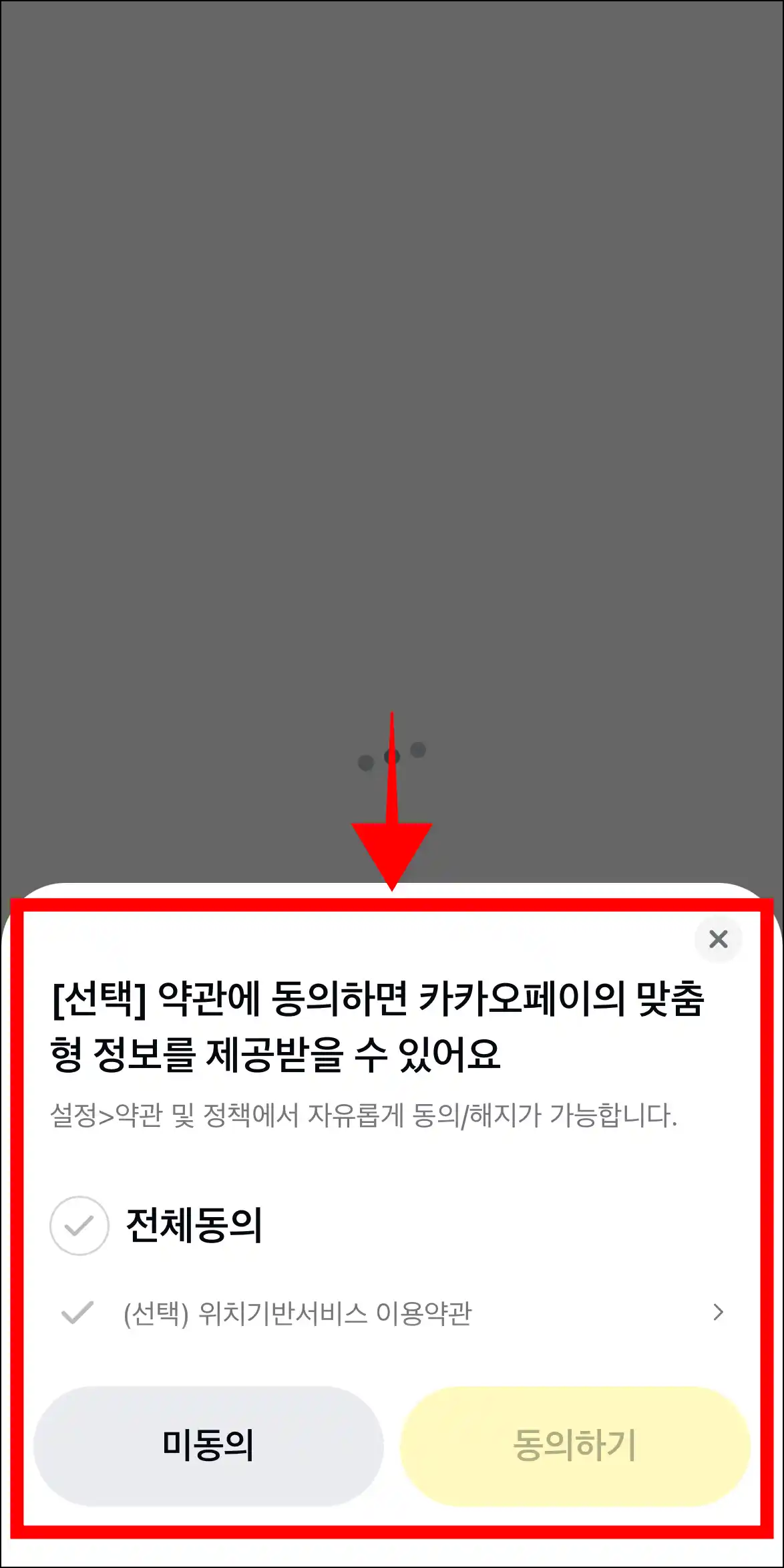 선택 약관에 필요에 따라서 동의
