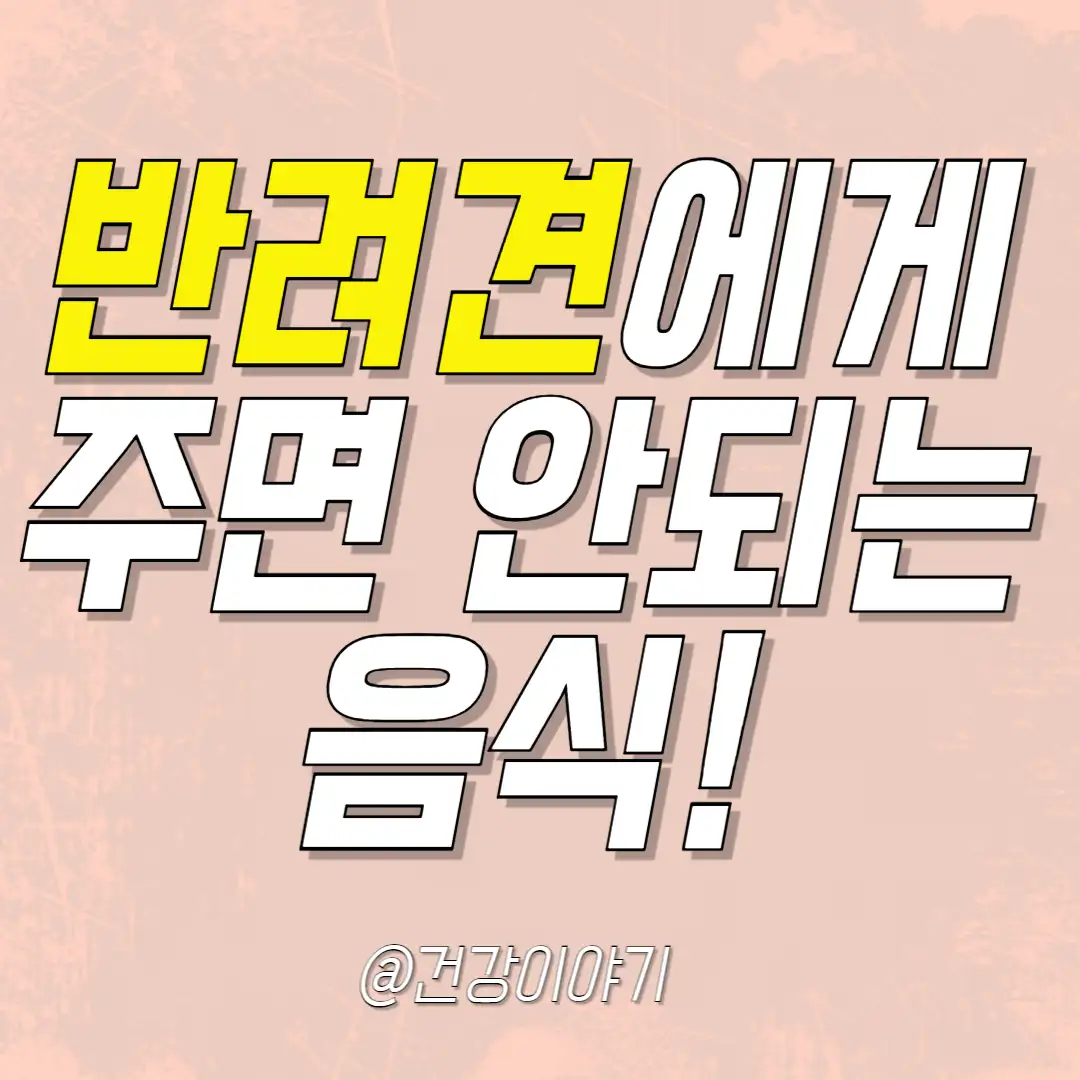 반려견에게-주면-안되는-음식