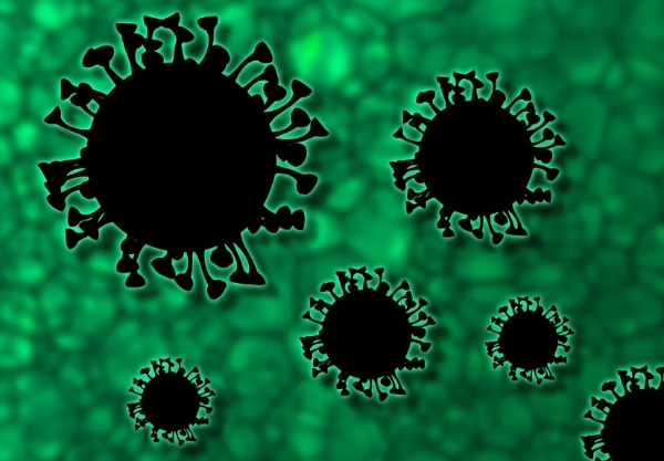 RNA 기반 치료제의 발전 혁신과 가능성