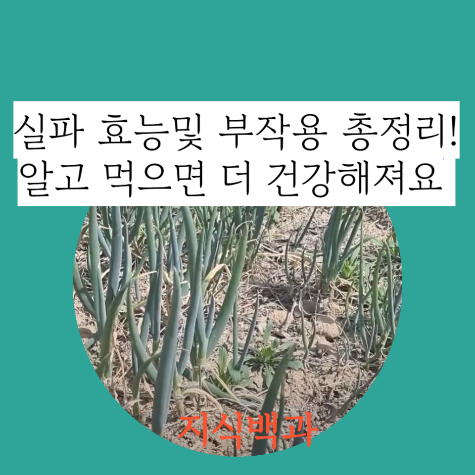 실파