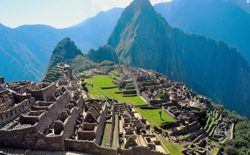 아프리카 남미 황열병 예방접종