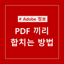 게시글 제목이 적힌 섬네일 사진