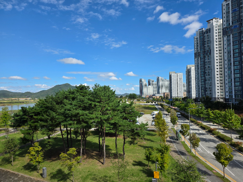 아파트와 산이 보인다. 강도 보인다.