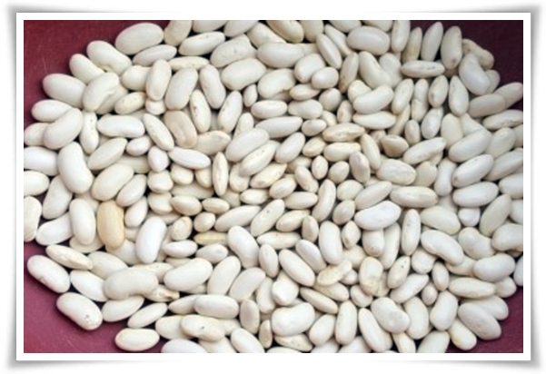 텃밭 "5월, 동부콩 심으세요!" 텃밭의 숨은 보석 알고보면 매력 덩어리!