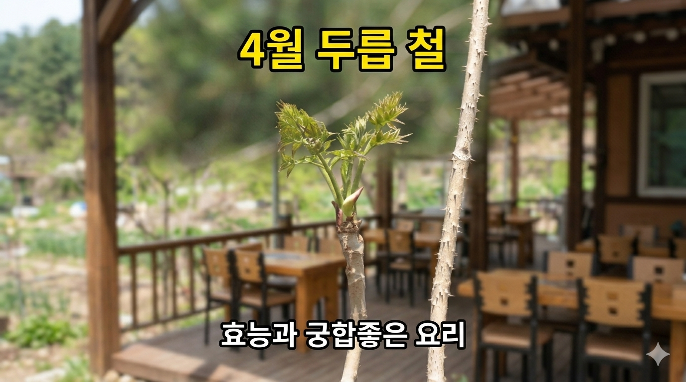 제철 두릅 효능 7가지와 요리방법