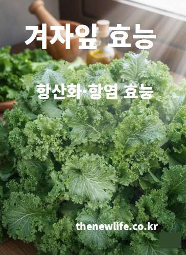 겨자잎 효능을 설명하기 위해 촬영한 싱그러운 겨자잎의 모습. 항산화·항염 성분이 풍부한 겨자잎의 특징을 보여주는 이미지입니다.