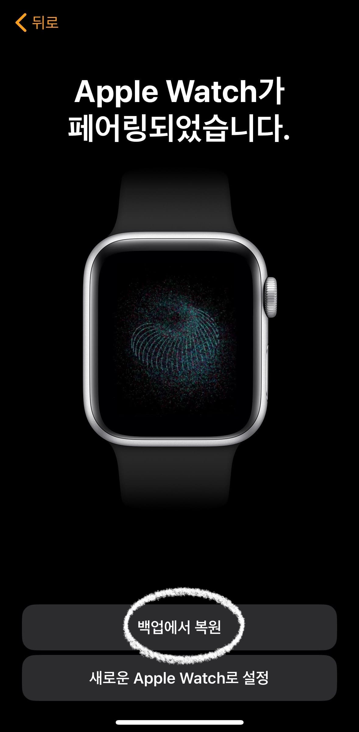 Apple Watch가 페어링되었습니다. 백업에서 복원