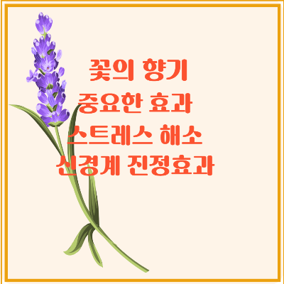 꽃의 향기 중요한 효과 스트레스 해소 향기 나는 꽃 그 매력