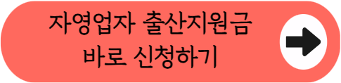 "서울 살면서 애 낳으면 240만원 준다고?" - 1인 자영업자 출산지원금 핵심 정리 (자격조건, 금액, 신청절차, 필요서류 등)