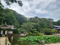 서울 가볼만한 곳 창덕궁