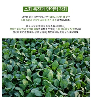 여수돌산갓-효능