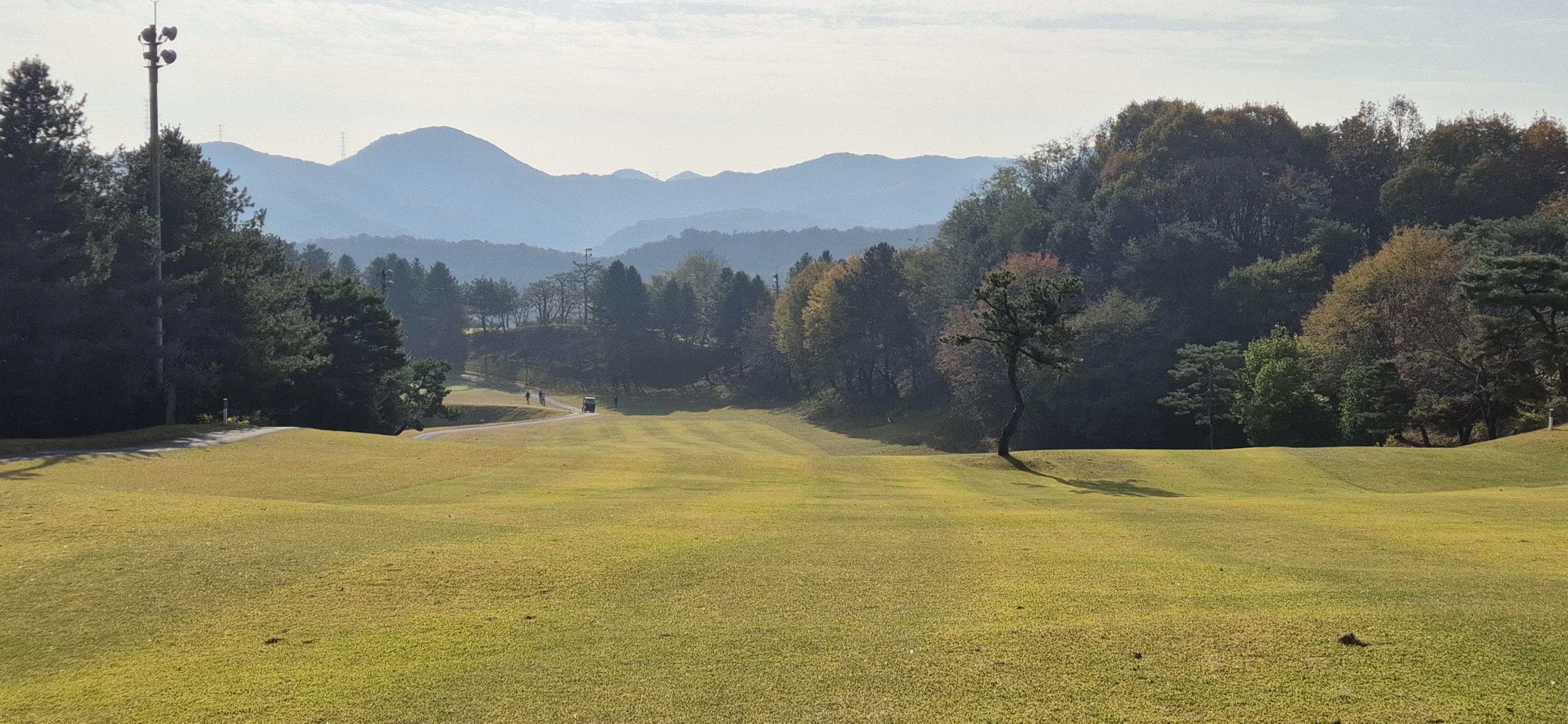 시그너스cc 라미코스 사진 및 공략 정보