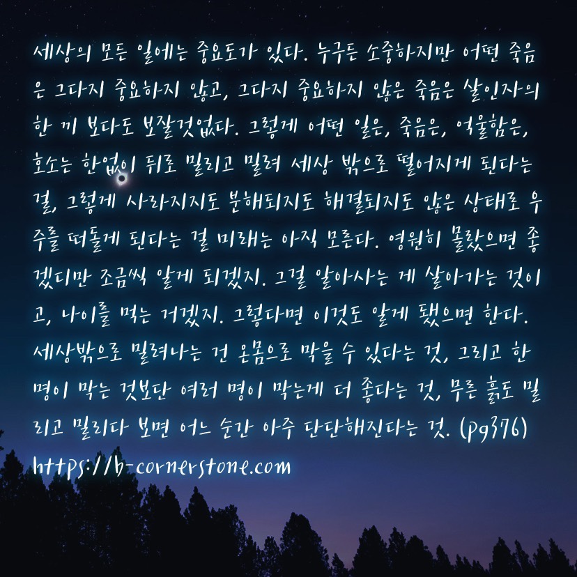 천선란 나인