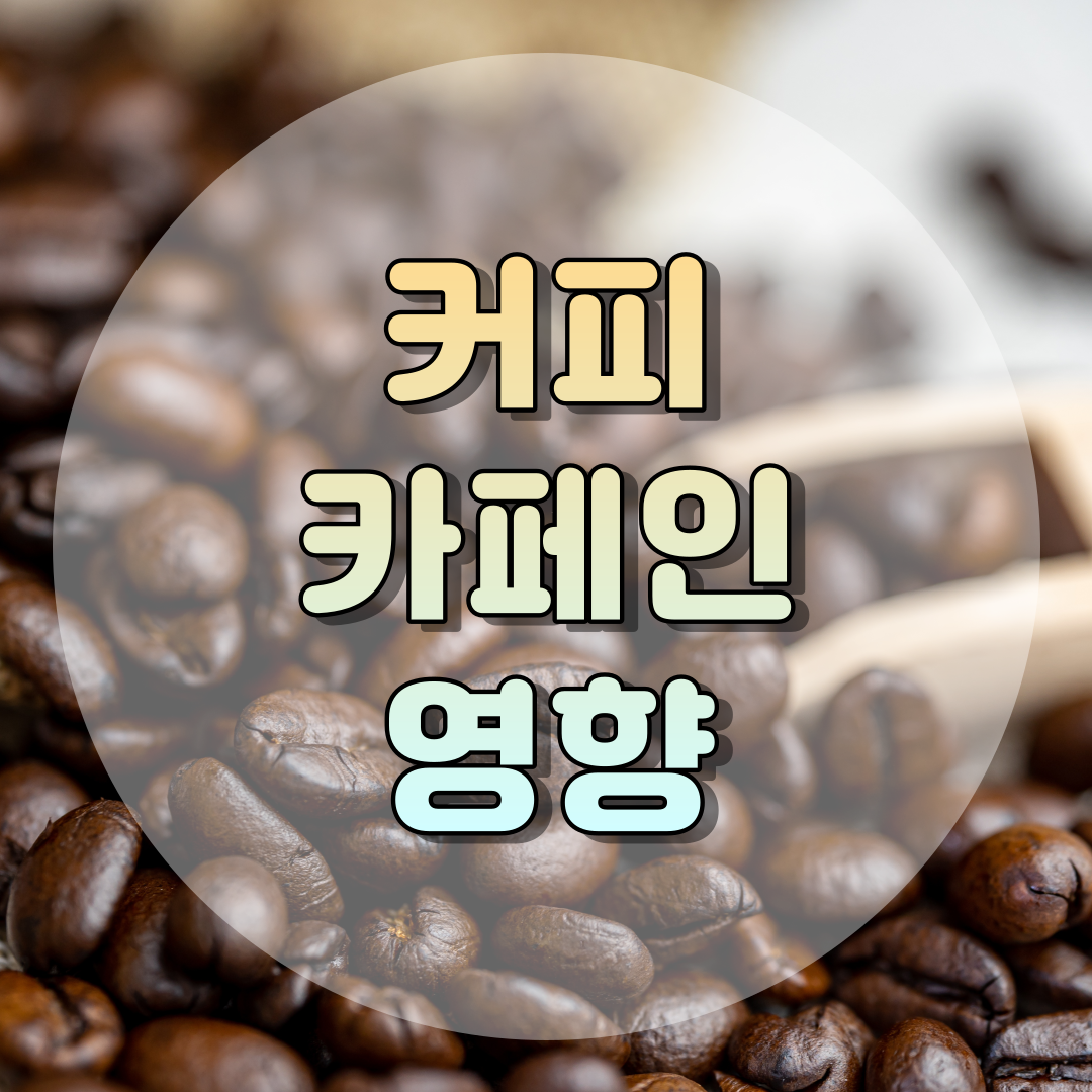 커피 카페인 영향