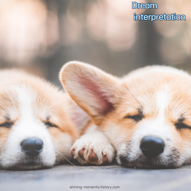 🌸 봄날 강아지와 관련된 꿈 20가지 해몽 🐶