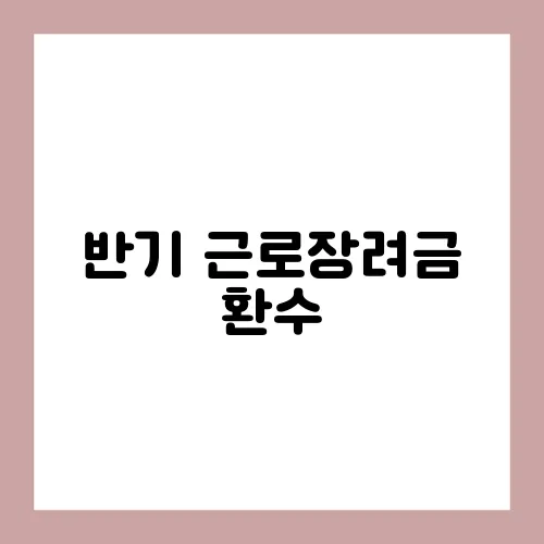 반기 근로장려금 환수