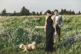 제주 반려견과 함께 가기 좋은 펫프렌들리 숙소 리스트_8