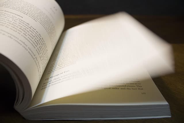 모바일 정부24 앱으로 민원서류 발급하는 방법과 팁