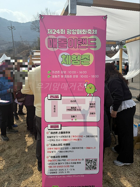 광양매화축제 기간 입장료 개화상황 프로그램 주차장 셔틀버스 25년3월8일실시간사진