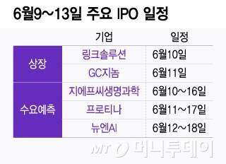 6월 공모주일정