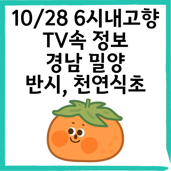 6시내고향 2025년 10월 28일 방영|경남 밀양 ‘반시’ & 감익는마을 천연식초 정보