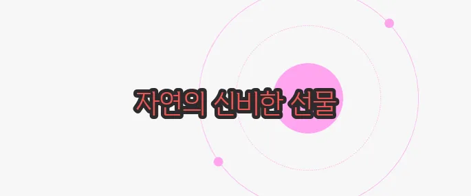 단풍마 효능  궁금한 점, 풀어보죠