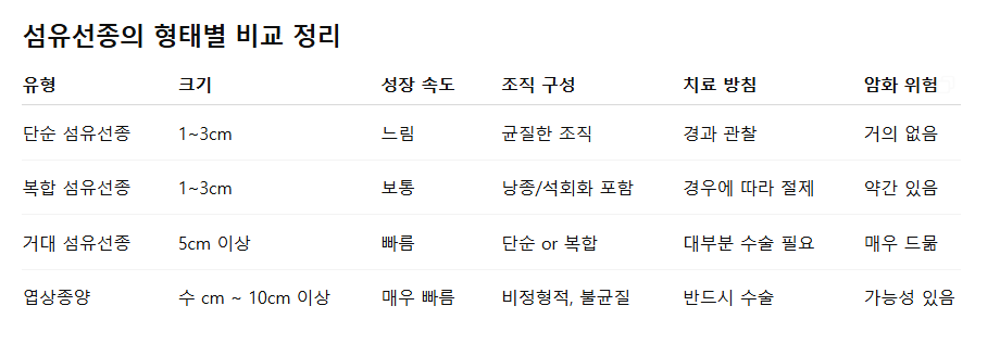 섬유선종 종류