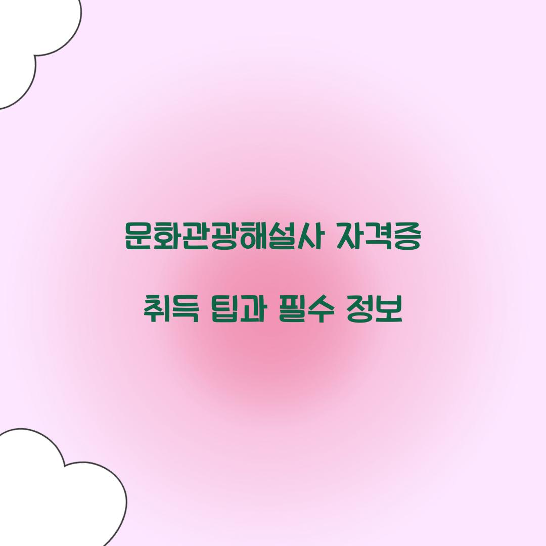 문화관광해설사 자격증