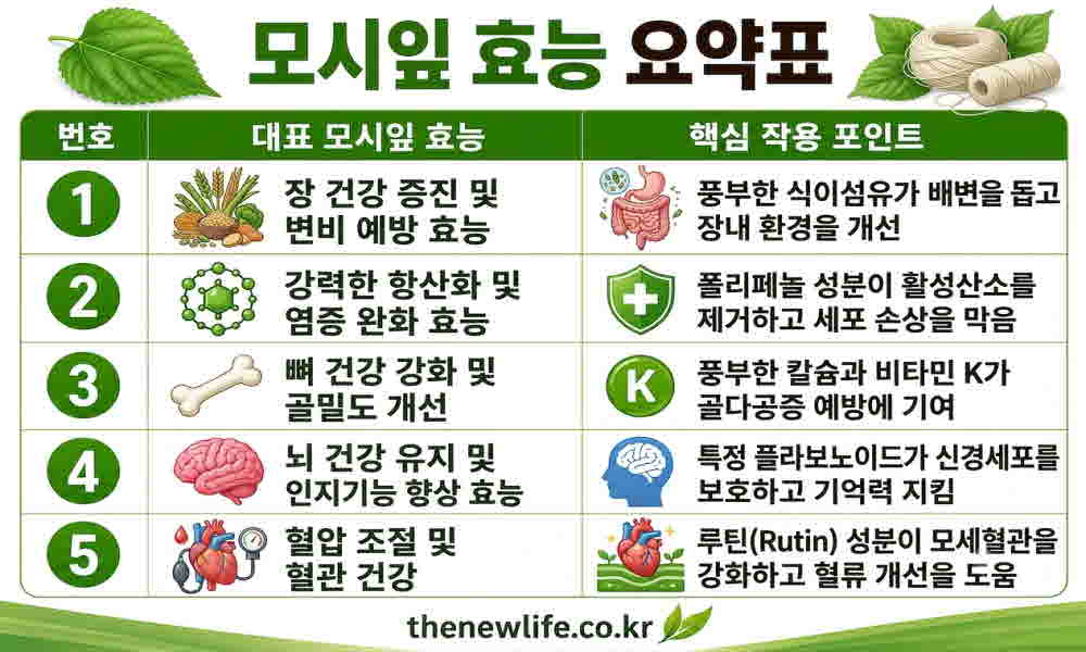 모시잎 효능 요약표