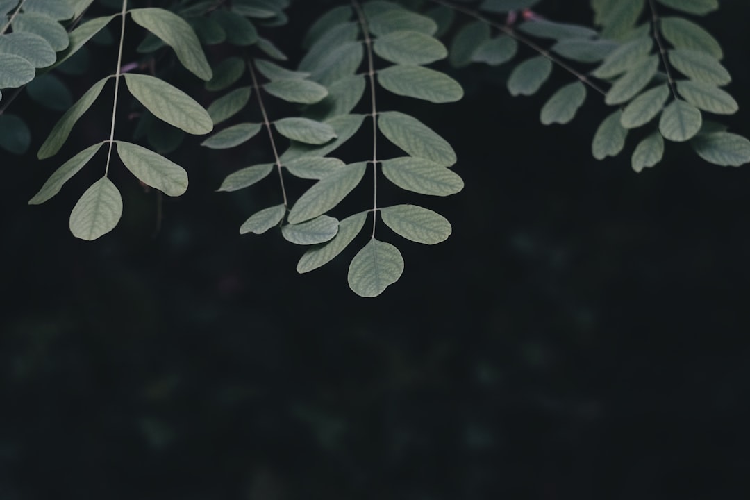 Renewal
