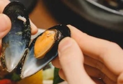 12월 제철 해산물