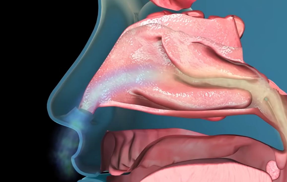 콧물이 계속 나는 이유
