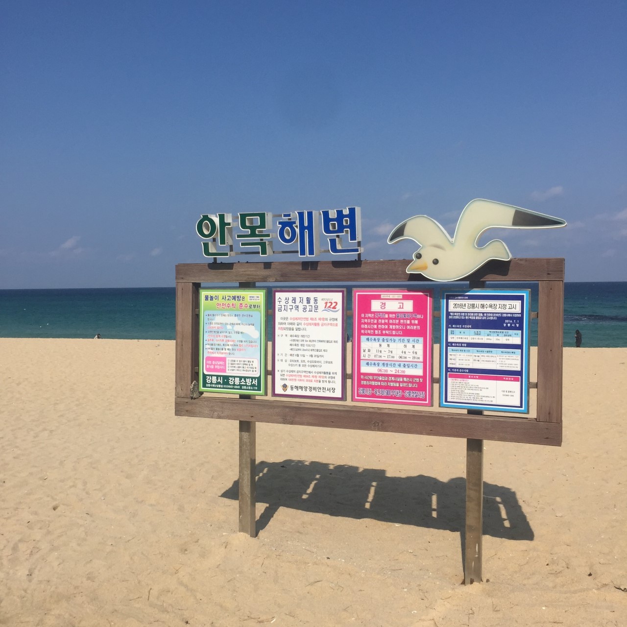 강릉 알아보기: 꼭 방문해야 할 5곳