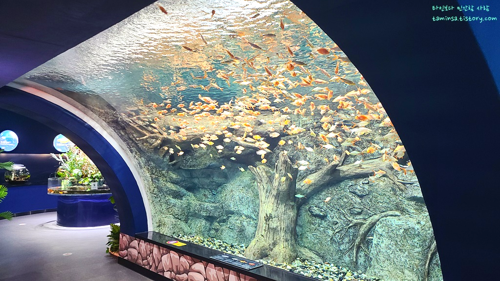 삼척-민물고기전시관-터널수조