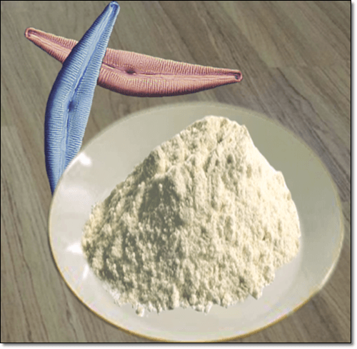 규조토
