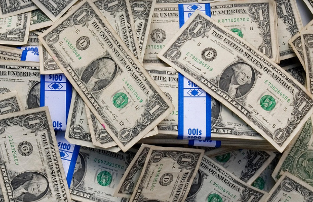 해외 배드뱅크 성공 사례와 우리의 시사점