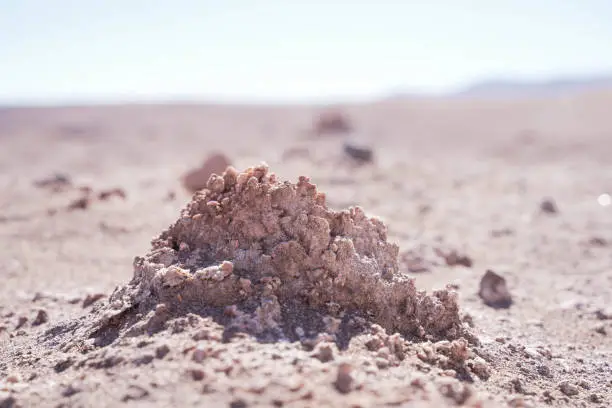 리튬 관련주 수혜주