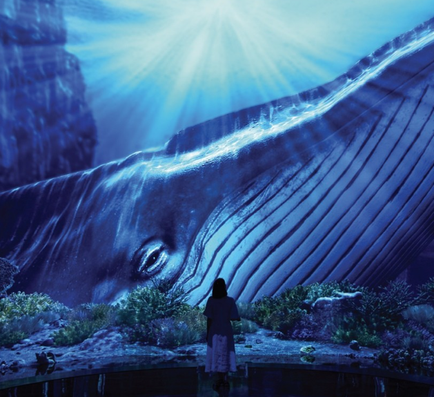 파주 뮤지엄헤이