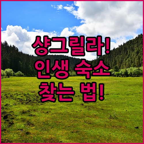 지상 낙원 샹그릴라 여행에서 인생 숙..