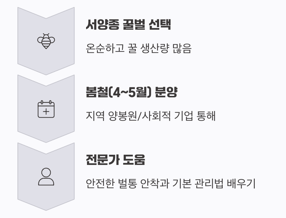 새로운 가족 맞이하기, 꿀벌 분양