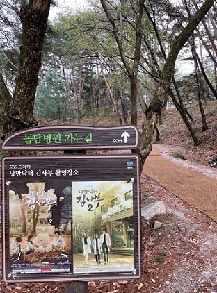 닥터김사부