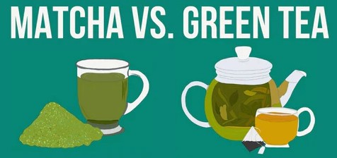 녹차와 말차의 효능 및 섭취방법&#44; 차이점