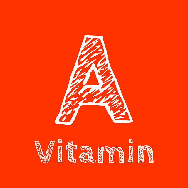 글자 비타민A(VitaminA)