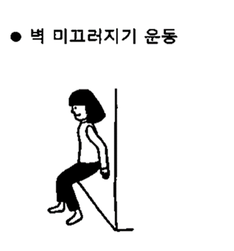 골다공증 검사 비용