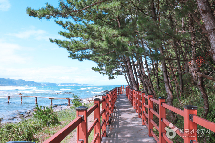 덕봉산 해안생태탐방로