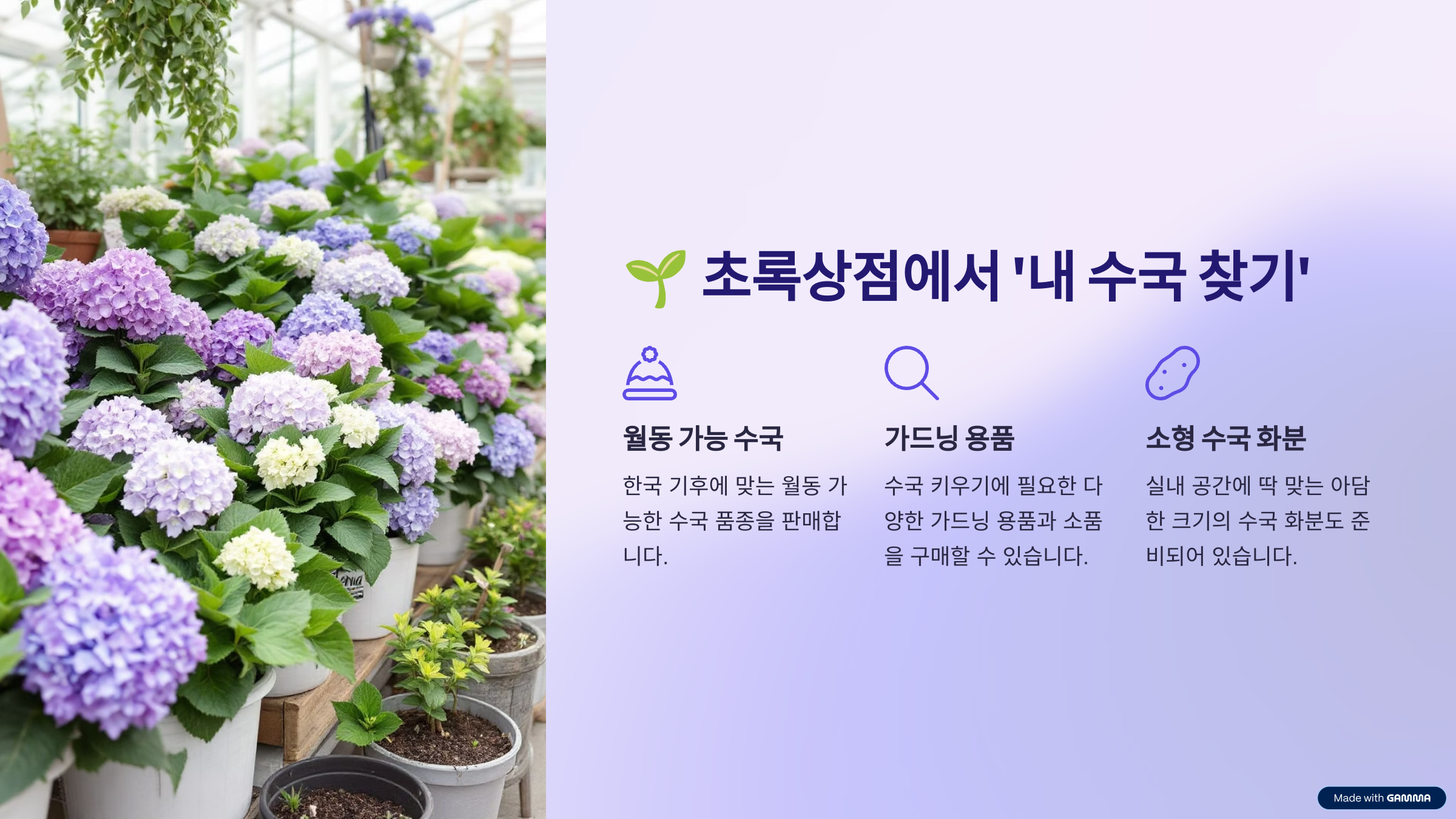 아침고요수목원 수국전시회 축제 일정 총정리