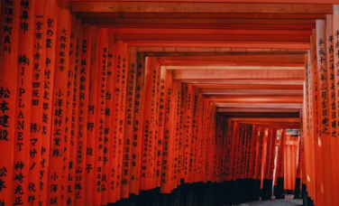 일본 입국신고서 작성법