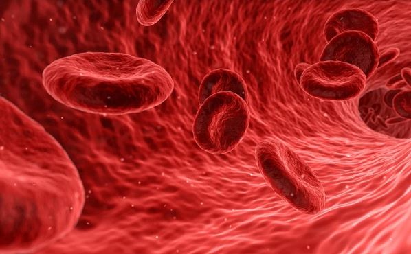 글루타치온효능