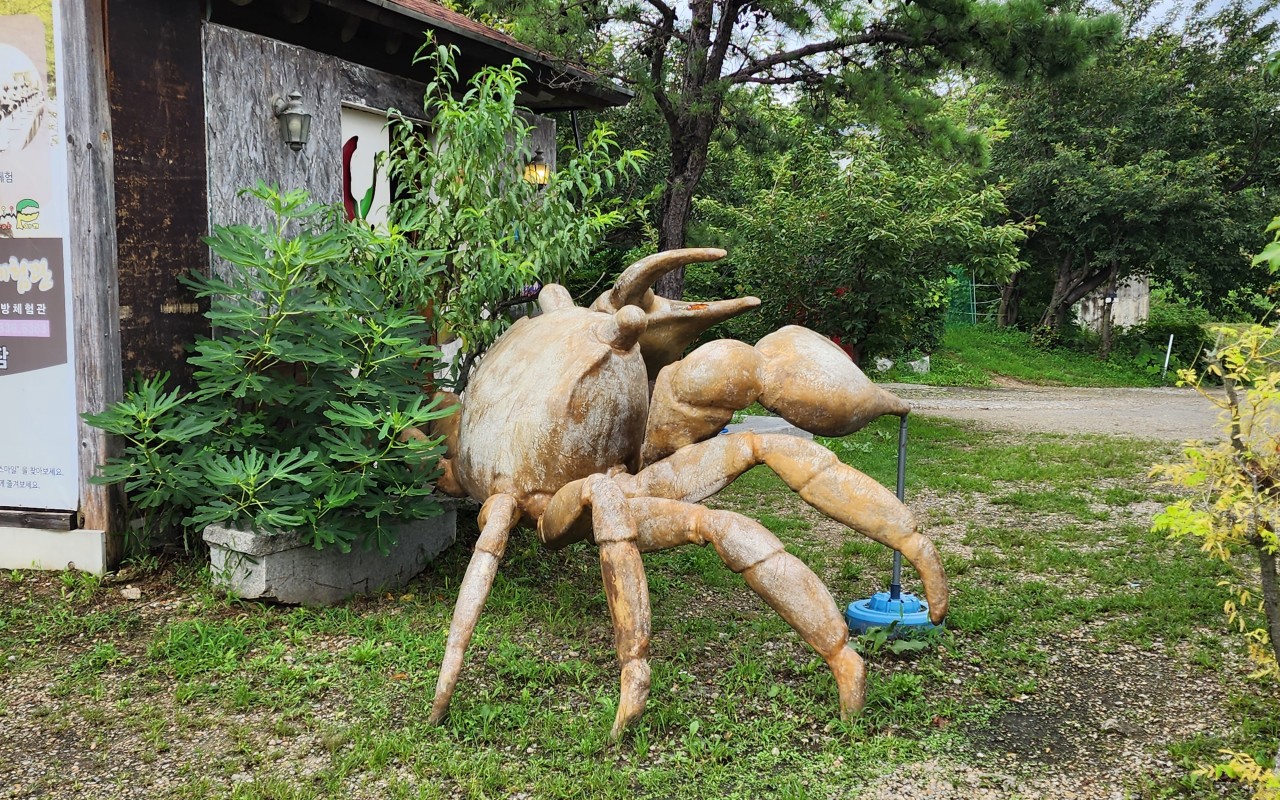 테라크랩팜 도둑게 조형물