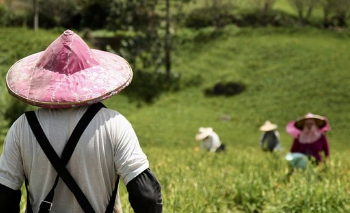 아르바이트-알바-세금-계산기-계산방법